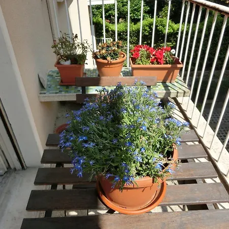 Sciarra فندق مبيت وإفطار روما